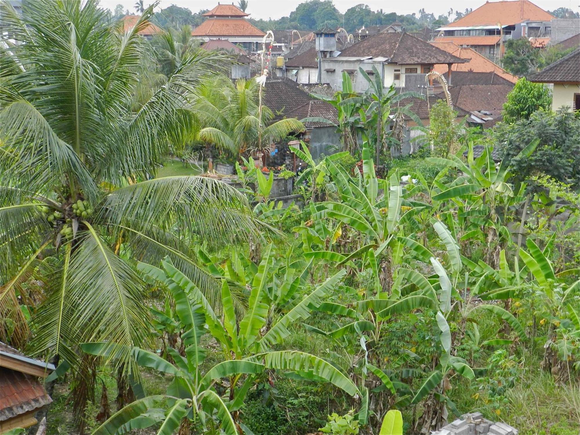 Kori Bali Inn I Убуд Екстериор снимка