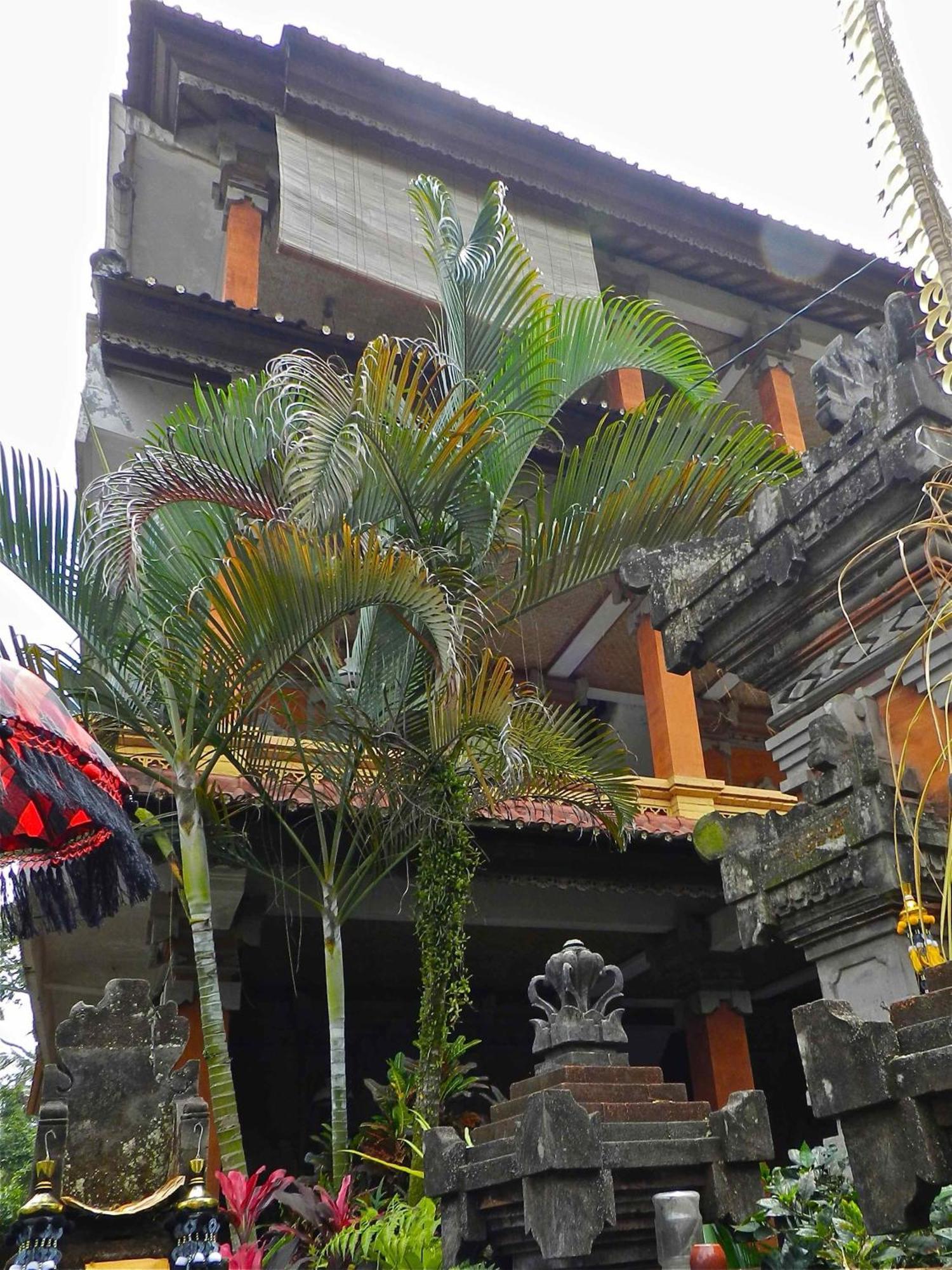 Kori Bali Inn I Убуд Екстериор снимка